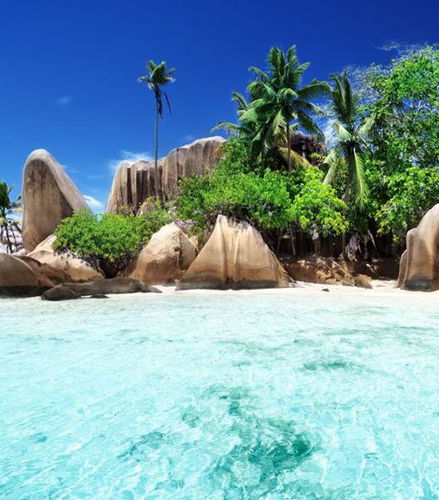 Foto - Il meglio di Praslin e La Digue con pranzo - Tour di un&apos;intera giornata - Da Mahé